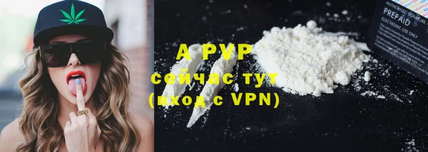 spice Богородицк