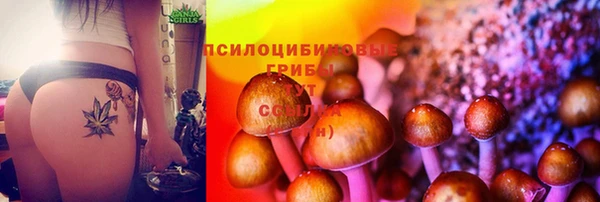 МДМА Богданович