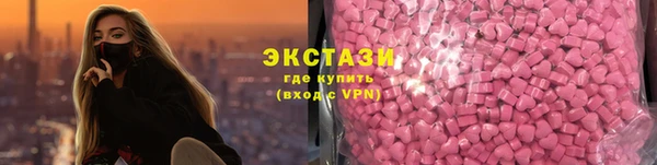 дживик Богородск