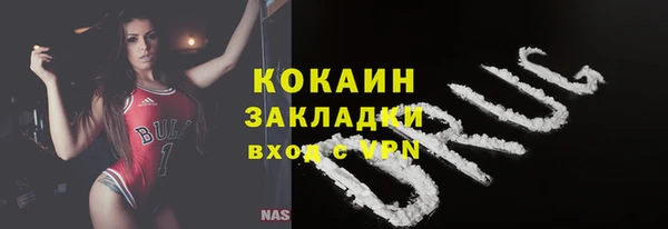 spice Богородицк