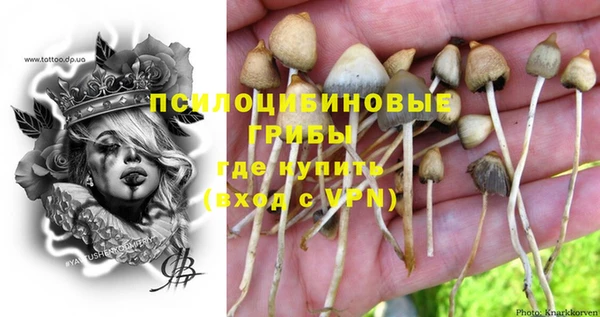 кокаин перу Белокуриха
