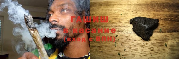 spice Богородицк